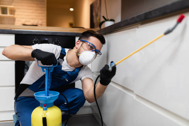 Professional Pest Control in Sandy Hook, CT
