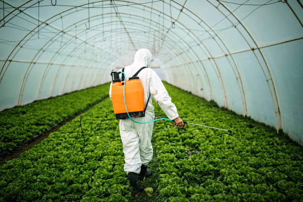 Best Pest Removal Services  in Sandy Hook, CT