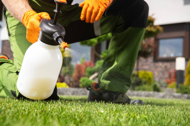 Best Wasp Removal Services  in Sandy Hook, CT