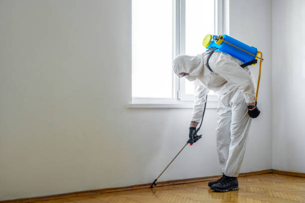 Best Commercial Pest Control Services  in Sandy Hook, CT