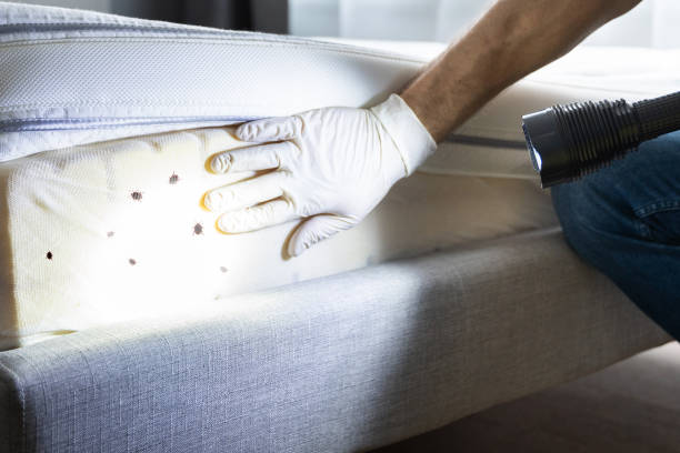 Best Pest Control Near Me  in Sandy Hook, CT