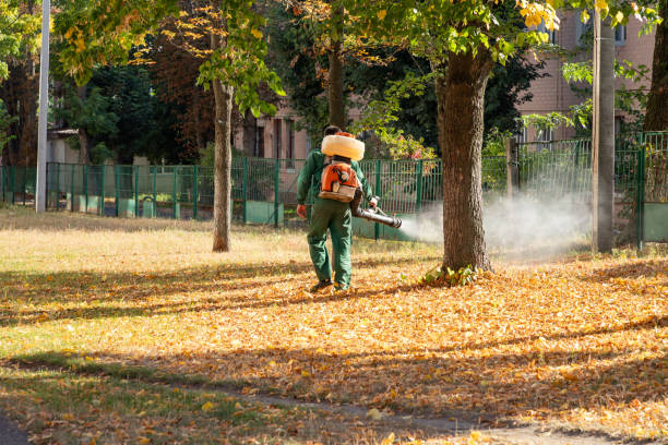 Best Best Pest Control Companies  in Sandy Hook, CT