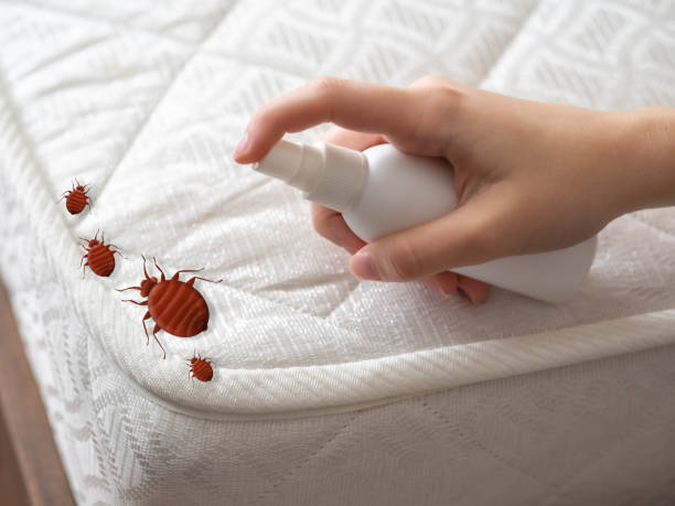 Best Insect Control  in Sandy Hook, CT