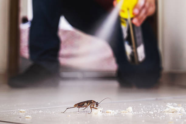 Best Mosquito Control Services  in Sandy Hook, CT