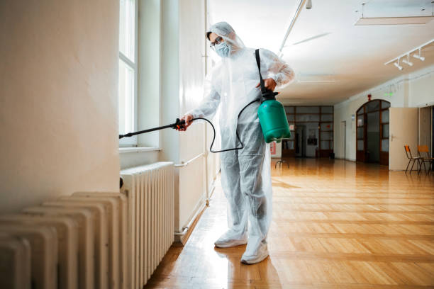 Insect Control in Sandy Hook, CT