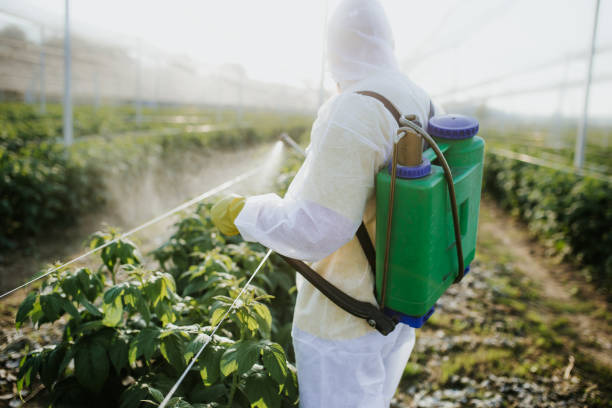 Pest Control for Restaurants in Sandy Hook, CT